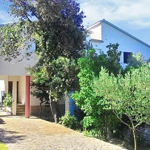 Apartament Roko Lalin